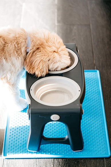 Dexas Adjustable Height Feeder – Elevated Double Bowl Stand, Blue, Customizable Levels