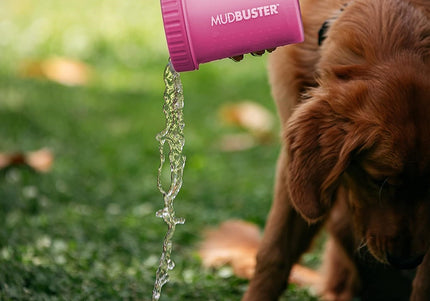 Dexas Mudbuster Paw Cleaner Medium – Silicone Cleaning Cup, Fuchsia, Easy-Use Design