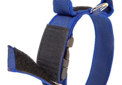 Julius K9 Color&Gray Collar with Handle – 40mm Wide, Safety Lock, Black, Durable Design