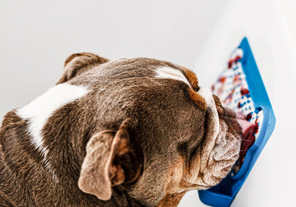 Dexas Snack & Distract Silicone Licking Mat with Pocket – Horizontal Blue, Calming Design