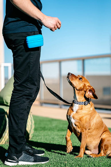 Dexas Pooch Pouch Silicone Treat Holder – Innovative Comfortable Design, Blue