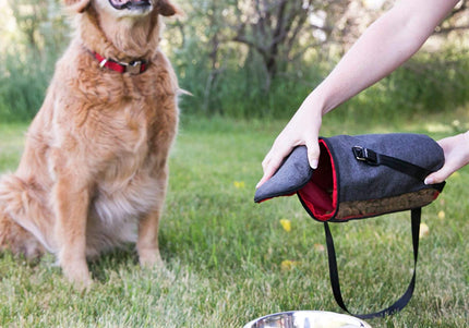 KONG Travel Kibble Bag – Portable Food Storage with Secure Closure and Easy-Carry Handle