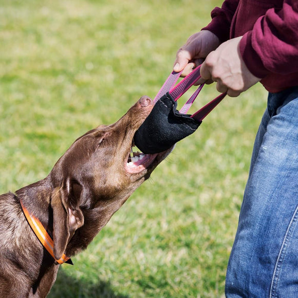 Julius-K9 Leather Tug Toy – Durable 25cm Training Aid with Dual Handles