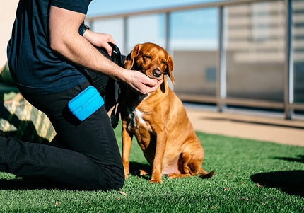Dexas Pooch Pouch Silicone Treat Holder – Innovative Comfortable Design, Blue