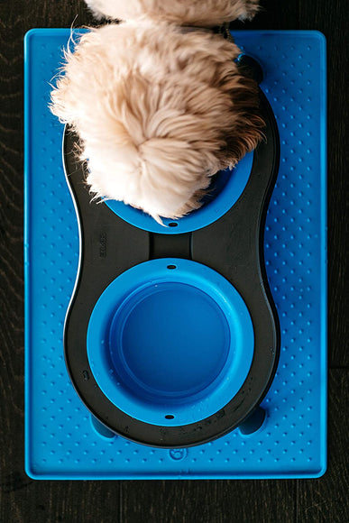 Dexas Adjustable Height Feeder – Elevated Double Bowl Stand, Blue, Customizable Levels