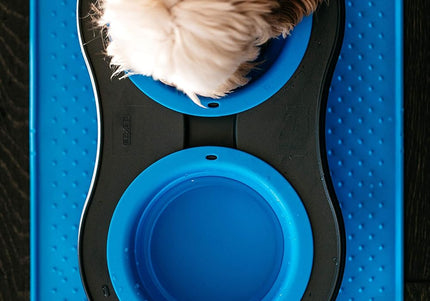 Dexas Double Elevated Feeder Large – Foldable Raised Dog Bowls Stand, Fuchsia, Spacious Design