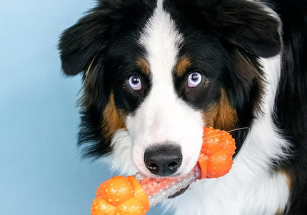 Nylabone Strong Chew Sneaky Snacker – Large Bacon-Scented Treat Holder, Durable Dog Chew Toy