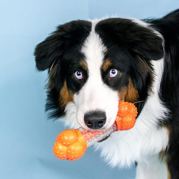 Nylabone Strong Chew Sneaky Snacker – Large Bacon-Scented Treat Holder, Durable Dog Chew Toy