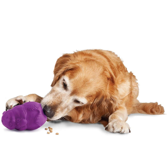 PetSafe Busy Buddy Squirrel Dude – Durable Dog Treat Chew Toy, Small Size, Engaging Design