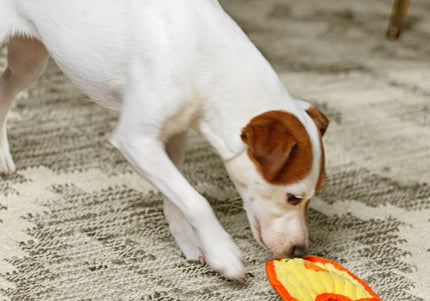 Outward Hound Durablez Chicky Squeaky Toy – 16cm Unfilled Yellow Plush, Durable Design