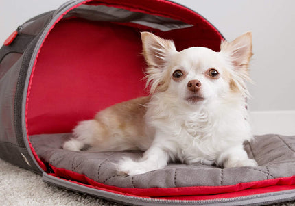 KONG Travel 2-in-1 Carrier and Mat – Versatile Portable Design, 45x28x34cm