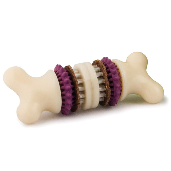 PetSafe Busy Buddy Bristle Bone Chew Toy – Small Size, Teeth Cleaning Design with Treat