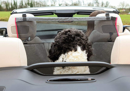 KONG Travel Protective Seat Barrier – Durable Car Net, 82x88x41cm, Prevents Distractions