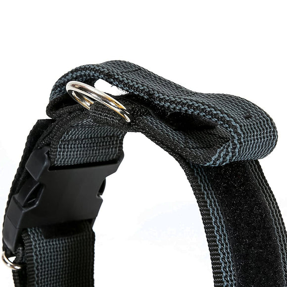 Julius K9 Color&Gray Collar with Handle – 40mm Wide, Safety Lock, Black, Durable Design