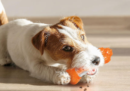 Nylabone Strong Chew Sneaky Snacker – Large Bacon-Scented Treat Holder, Durable Dog Chew Toy