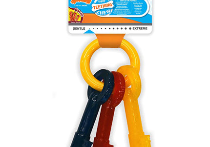Nylabone Puppy Chew Keys – Bacon-Scented Durable Teething Toy, Medium Size Key Shape