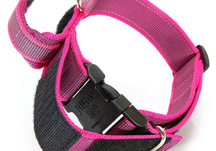 Julius K9 Color&Gray Collar with Handle – 40mm Wide, Safety Lock, Black, Durable Design