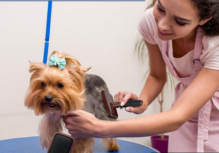 Kenchii Slicker Brush – Elegant Maple Wood Grooming Brush, Large Size, Ergonomic Design