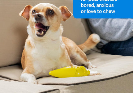 PetSafe Busy Buddy Frosty Cone – Frozen Treat Chew Toy, Ice Cream Cone Shape, Medium/Large, Durable