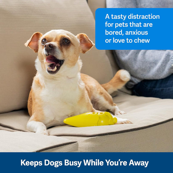 PetSafe Busy Buddy Frosty Cone – Frozen Treat Chew Toy, Ice Cream Cone Shape, Medium/Large, Durable