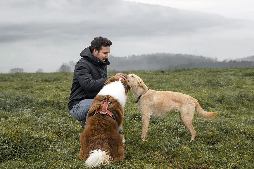 Escapure Premium Pferd Banderl – Horse Meat Strips, Hypoallergenic Treats, 150g