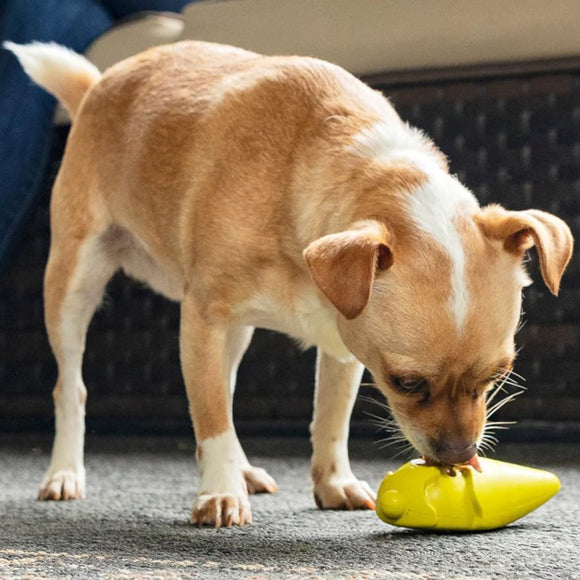 PetSafe Busy Buddy Frosty Cone – Frozen Treat Chew Toy, Ice Cream Cone Shape, Medium/Large, Durable