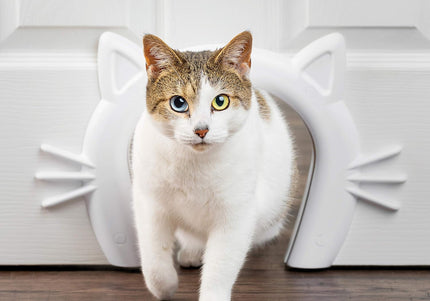 PetSafe Cat Corridor – Interior Door Passageway with Smooth Edges and Easy Installation