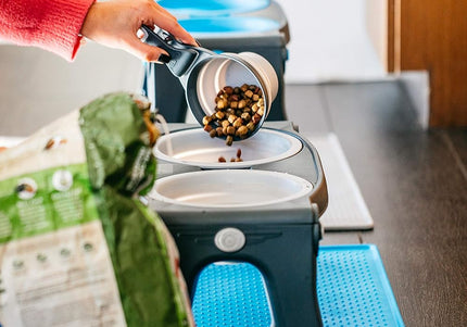 Dexas Collapsible KlipScoop 3in1 Large 473ml – Foldable Food Scoop with Bag Clip, Purple