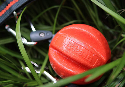 Dexas Off-Leash Floating Ball – Durable Water Toy with Carabiner Attachment, High-Visibility Design