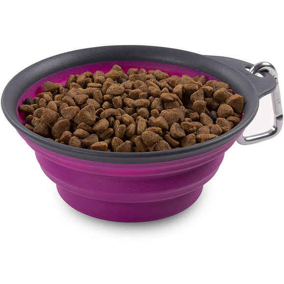 Dexas Collapsible Travel Cup Large 473ml – Foldable Silicone Bowl, Durable and Portable, Fuchsia