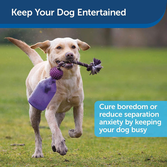 PetSafe Busy Buddy Tug-A-Jug Treat Toy – Extra Small Durable Interactive Bottle