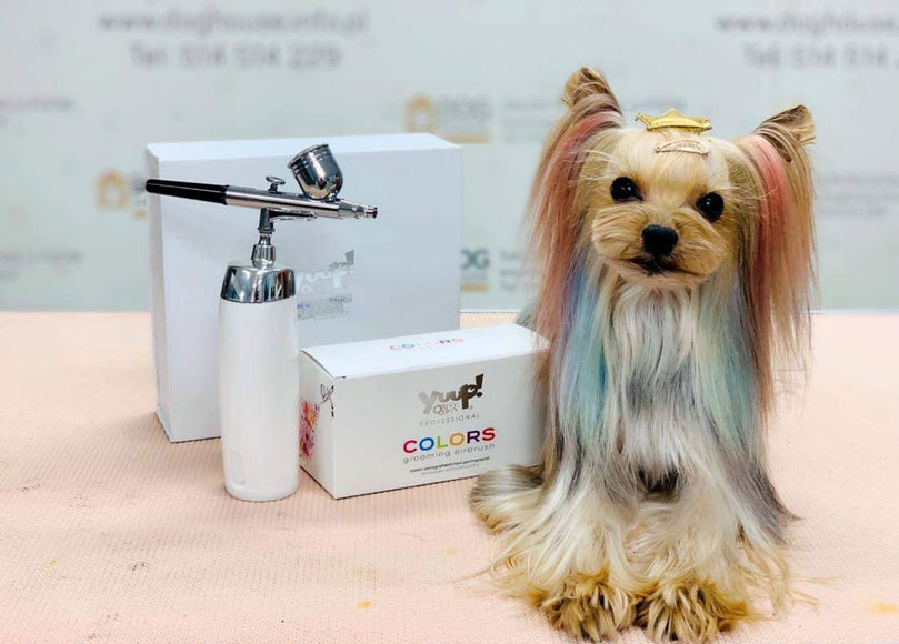 Yuup! Professional Cordless Airbrush – Lightweight Rechargeable Hair Coloring Tool with Precision Control