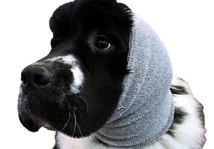 Show Tech Ear Buddy XL Gray Headband – Extra Large Calming Drying Aid for Sensitive Pets