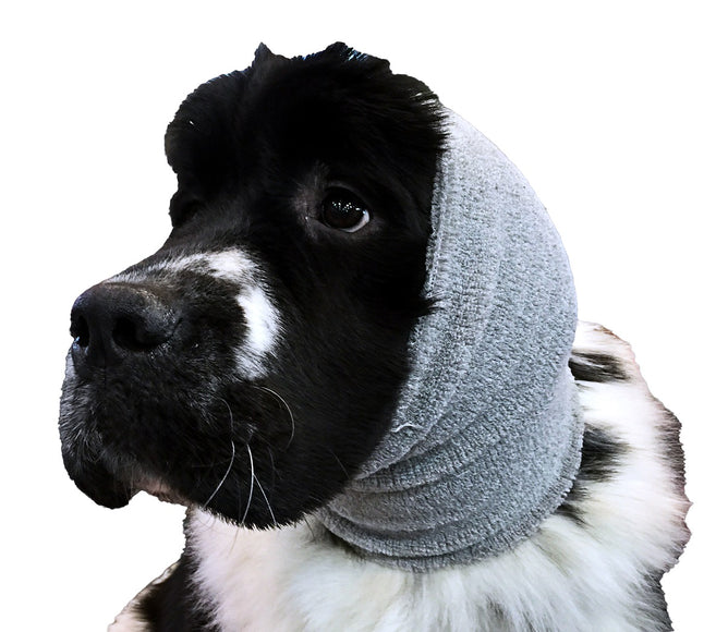 Show Tech Ear Buddy XL Gray Headband – Extra Large Calming Drying Aid for Sensitive Pets