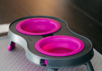 Dexas Double Elevated Feeder Large – Foldable Raised Dog Bowls Stand, Fuchsia, Spacious Design