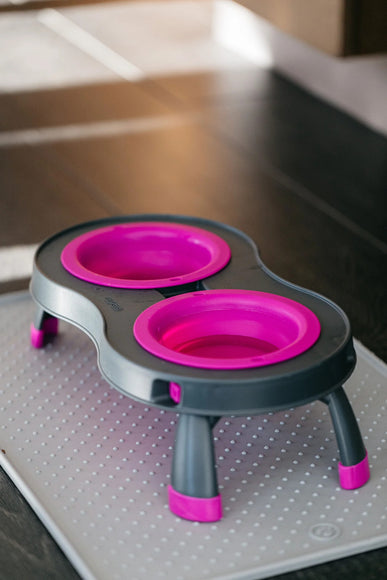 Dexas Double Elevated Feeder Large – Foldable Raised Dog Bowls Stand, Fuchsia, Spacious Design