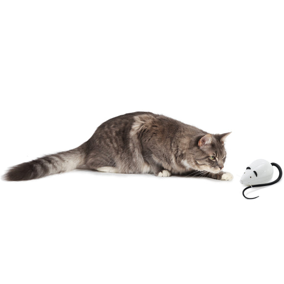 PetSafe RoloRat Automatic Cat Teaser – Interactive Rat Toy with Built-In Timer, Engaging Play