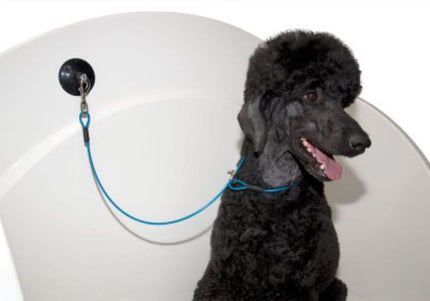 Groom-X Bathtub Grooming Handle – Single Suction Cup, Secure Grip, Ergonomic Design