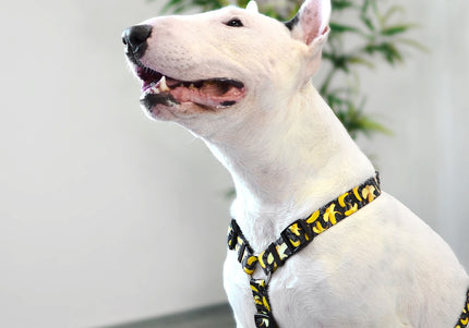Dashi Eco Banana Back Harness – Adjustable Recycled Dog Harness with Banana Pattern, Small Size
