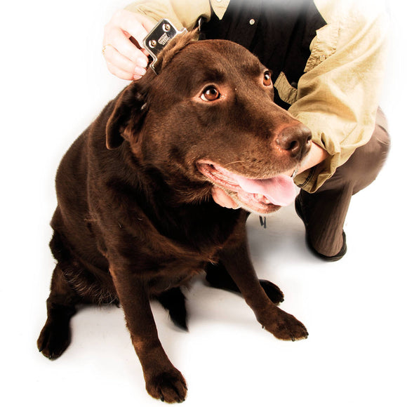 Show Tech Shed Stopper Large – Undercoat Eliminator, 10cm Wide Blade, Ergonomic Handle