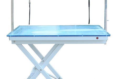 Blovi Crystal Electric Grooming Table 110x60cm – Illuminated Acrylic Glass, Professional Design