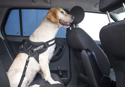 Julius-K9 StopDog Mobility Control Car Tether Leash – Adjustable Safety Restraint, Durable Nylon