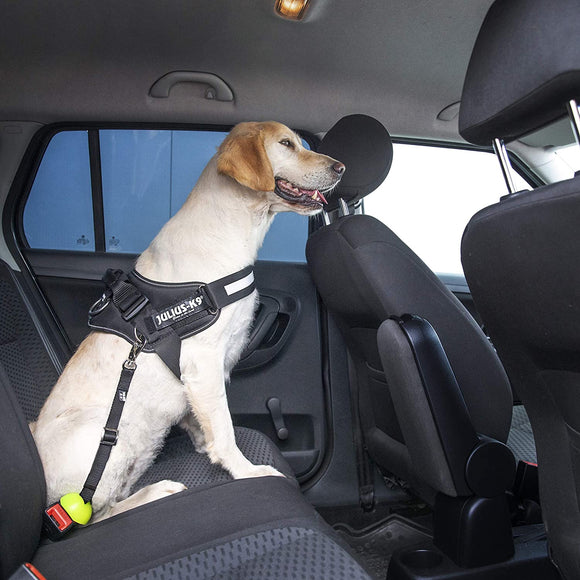 Julius-K9 StopDog Mobility Control Car Tether Leash – Adjustable Safety Restraint, Durable Nylon