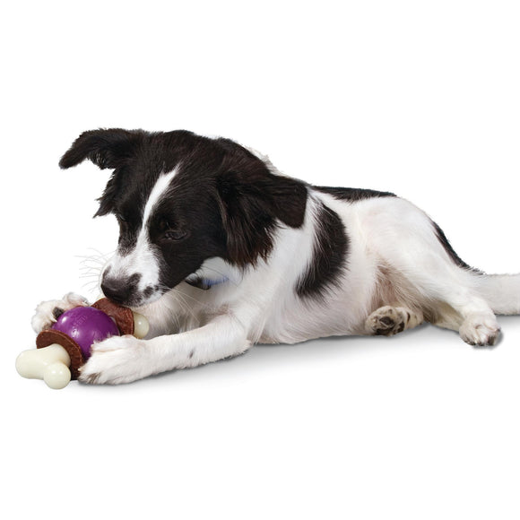 PetSafe Busy Buddy Bouncy Bone – Medium Durable Chew Toy with Treat, Interactive Ball Design