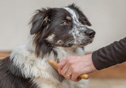 Mikki Bamboo Wide Anti-Tangle Rake – Wide-Tooth Rotating Pin Comb, Eco-Friendly Bamboo Handle