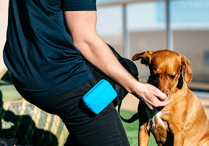 Dexas Pooch Pouch Silicone Treat Holder – Innovative Comfortable Design, Blue