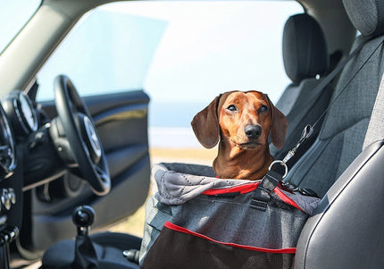 KONG Travel Secure Booster Seat – Elevated Car Seat, 40x30x20cm, Holds Up to 12kg