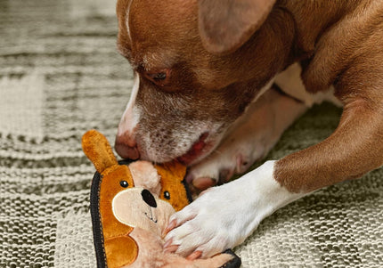 Outward Hound Durablez Puppy Squeaky Dog Toy – 16cm, Unfilled, Durable Brown Plush