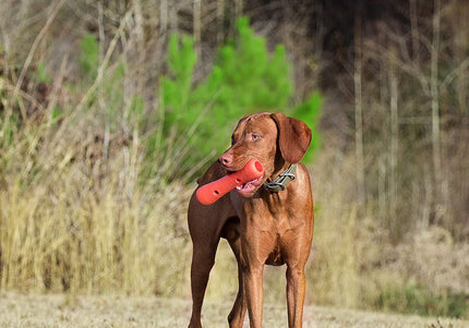 Dexas Off-Leash Tumbler Fetch Toy – Durable Interactive Ball with Carabiner Clip Attachment