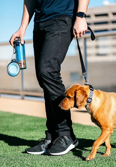 Dexas Snack-Duo Dual-Chamber Bottle – Food and Water Storage with Silicone Bowl, Fuchsia